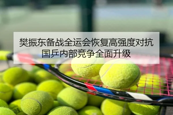 樊振东备战全运会恢复高强度对抗 国乒内部竞争全面升级