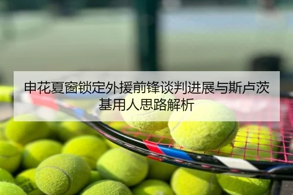 申花夏窗锁定外援前锋谈判进展与斯卢茨基用人思路解析