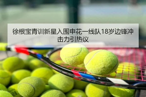 徐根宝青训新星入围申花一线队18岁边锋冲击力引热议