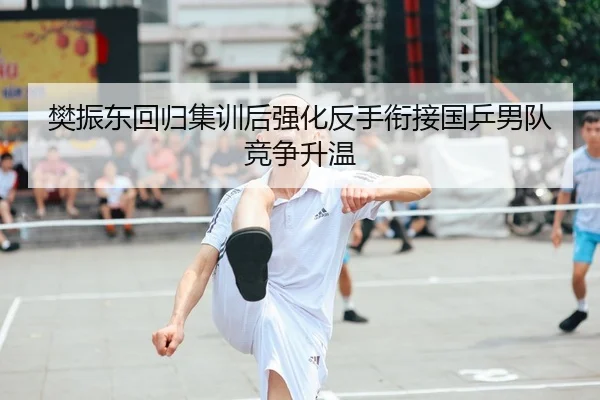 樊振东回归集训后强化反手衔接国乒男队竞争升温